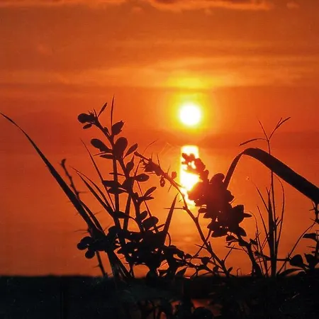 Aparthotel La Rosetta 4*