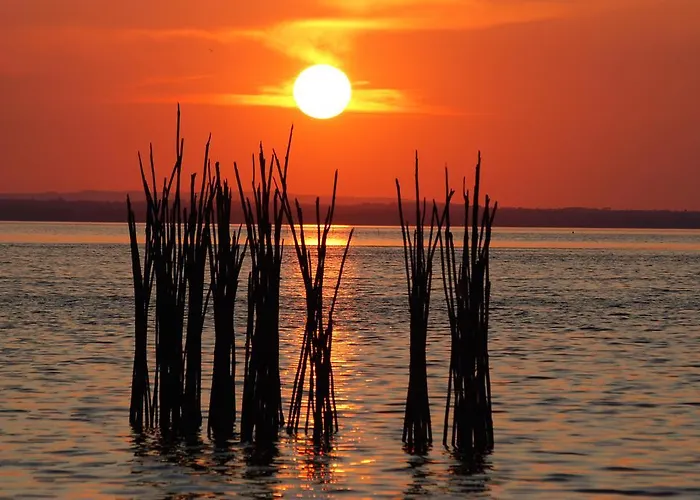 La Rosetta Aparthotel 4*