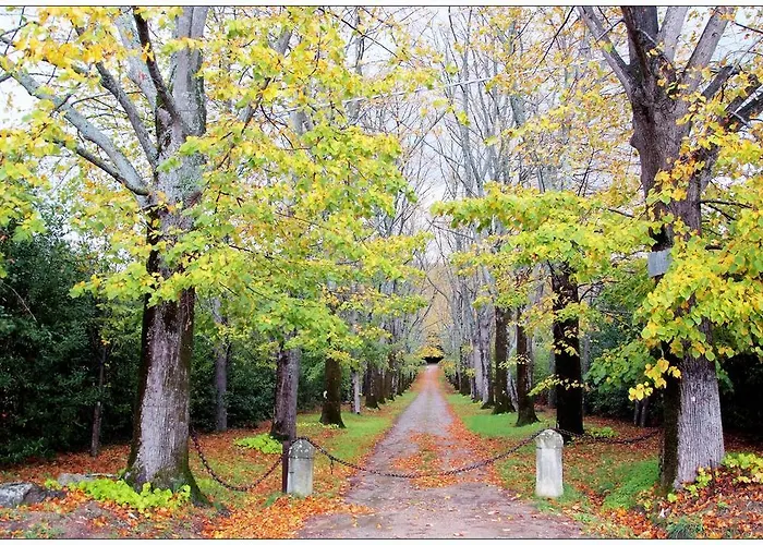 Aparthotel La Rosetta 4*