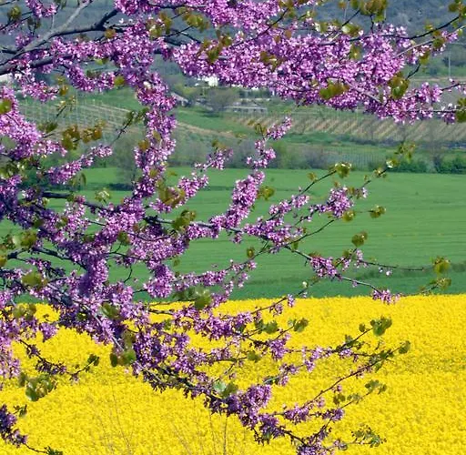 Apart-hotel La Rosetta