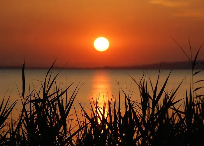 Aparthotel La Rosetta 4*