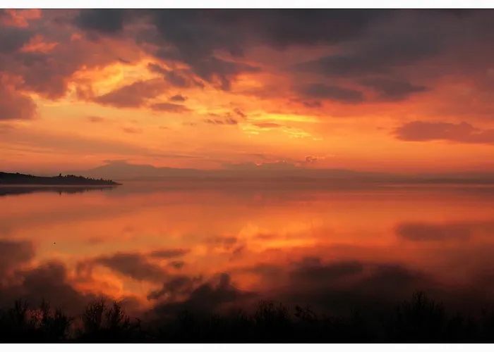 Aparthotel La Rosetta